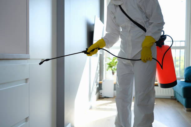 Best Office Mold Removal Services  in Newcomerstown, OH