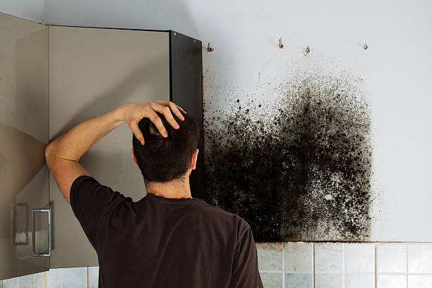 Best Emergency Mold Removal  in Newcomerstown, OH